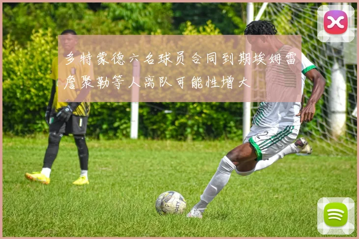 多特蒙德六名球员合同到期埃姆雷詹聚勒等人离队可能性增大