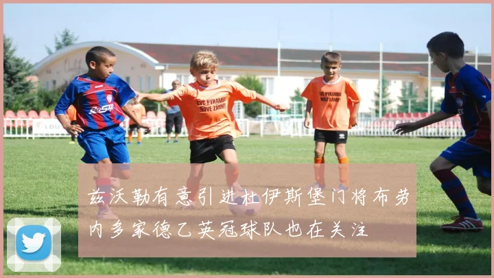 兹沃勒有意引进杜伊斯堡门将布劳内多家德乙英冠球队也在关注